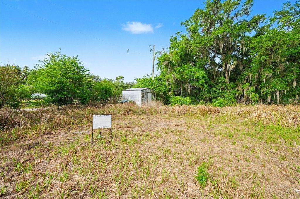 Photo of 4103 Stanley Road, Plant City, FL 33565 (MLS # TB8460232)