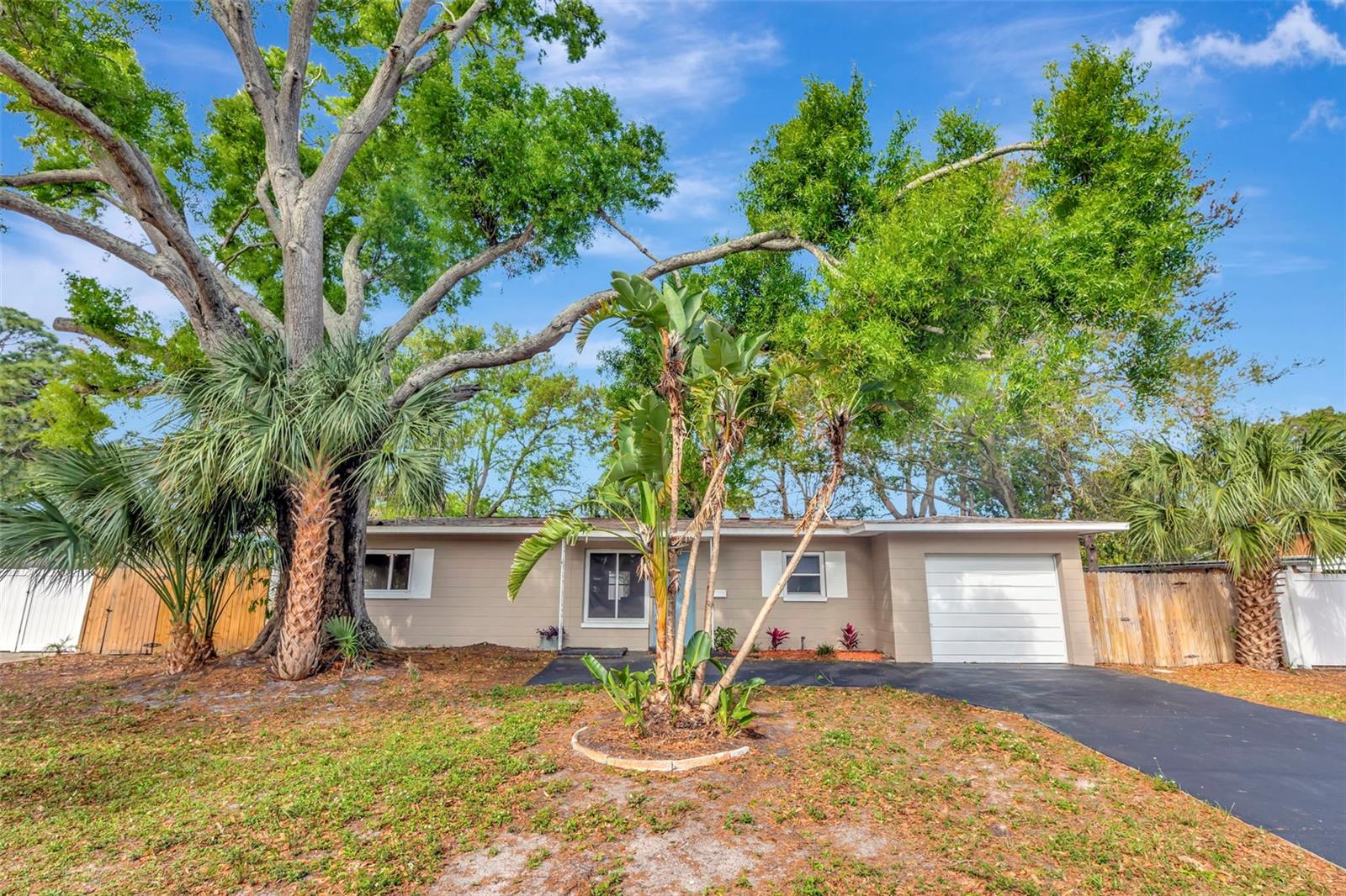 7420 DR MARTIN LUTHER KING JR STREET N