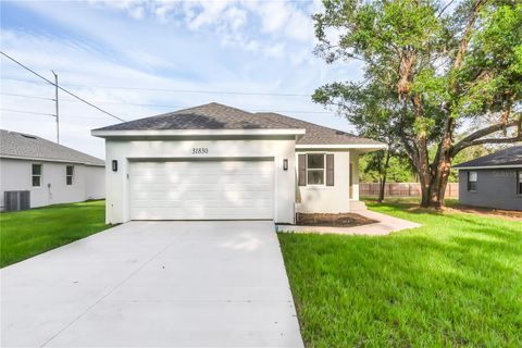 31830 SYBIL AVENUE SORRENTO FL 32776