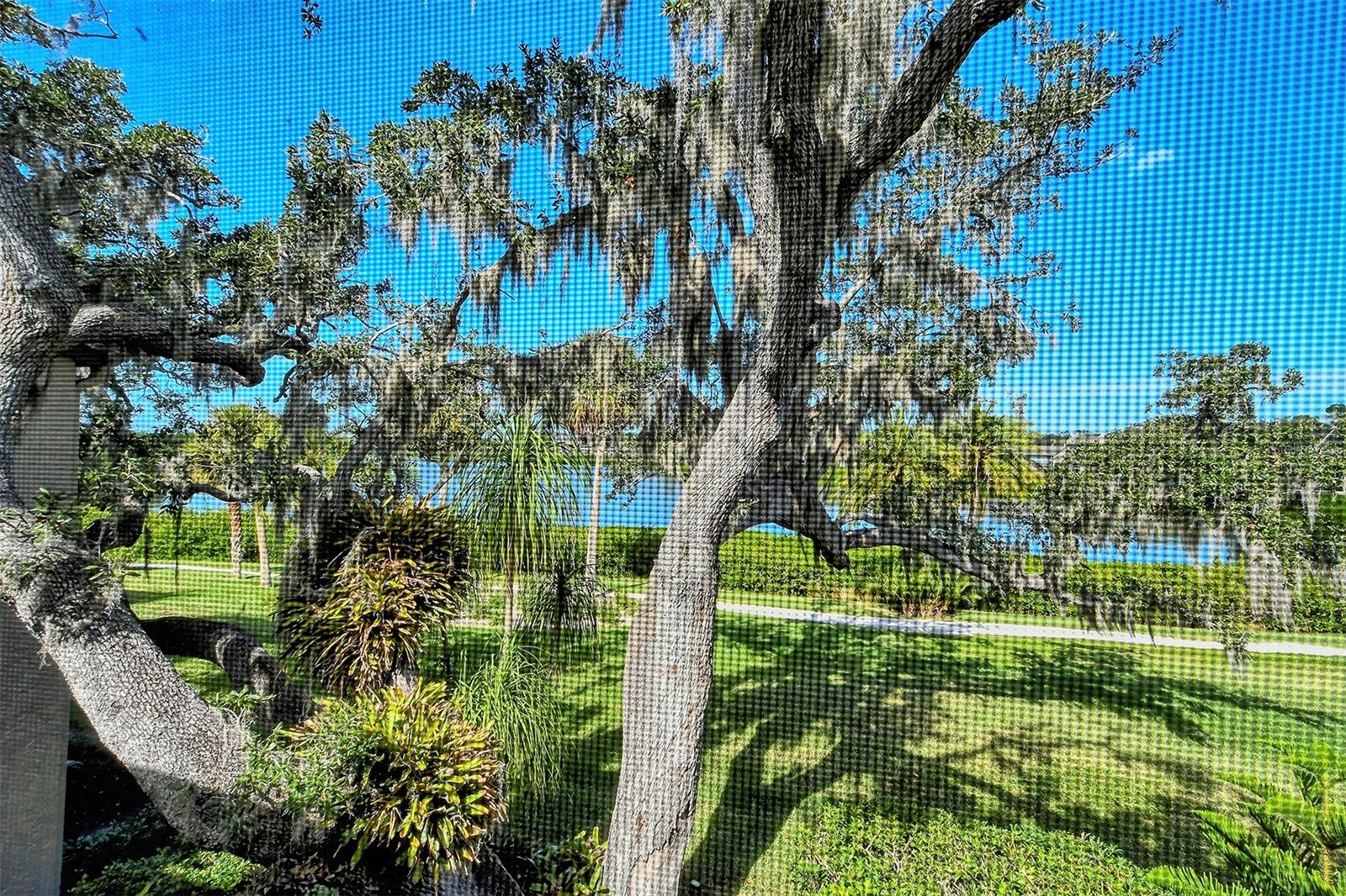 PELICAN COVE I - Residential Lease