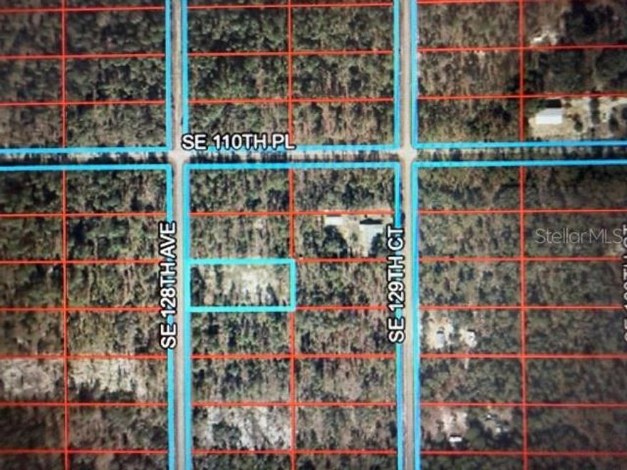Mostly cleared 1 acre lot in Levy County side of Rainbow Lakes Estates. NO HOA. This property is on a paved road. 20 minutes to shopping in Dunnellon or visit the Rainbow River. The Gulf Coast is within 30 minutes. See the manatees, Boating, Fishing, Watch beautiful sunsets over the Gulf of America....
Use this address of a home on that road in your GPS to get close: 11290 Swan Rd (SE 128th Ave), DUNNELLON FL 34431