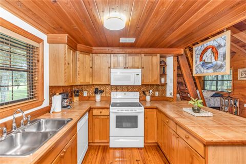 Tiny photo for 6750 N San Juan Terrace, Crystal River, FL 34428 (MLS # V4944598)