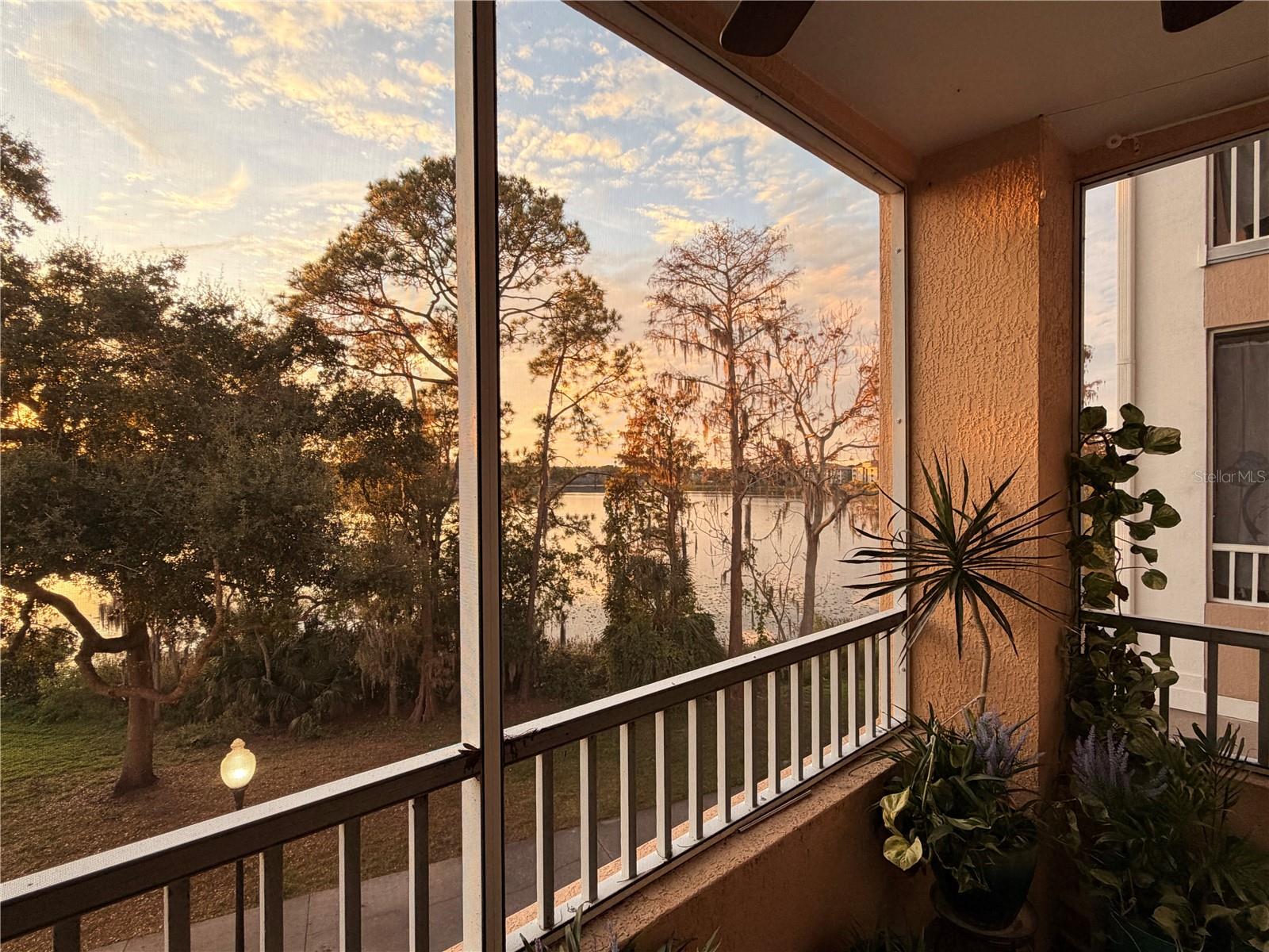 3250 CORONA VILLAGE WAY 204