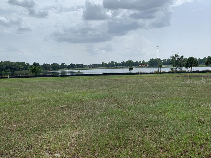 LAKEFRONT/ DOCKABLE ACREAGE Lot! CLEARED LOT. High and Dry. Beautiful Lake Front Lot in the Gated Community of Hidden River Lakes. Over 1.5 Acres, Ready to build your Custom home. Enjoy exquisite and tranquil views overlooking the Private Lake Diane. This location offers Privacy, Acreage, Public Utilities, low HOA, and Full Access to the Harris Chain of Lakes via the community boat ramp. Enjoy fishing and kayaking on Lake Diane. Community boat on canal access leads to the Harris Chain of Lakes with access to Historic Mount Dora, Eustis, Tavares, or Leesburg waterfronts for dining, shopping, and world-class events.