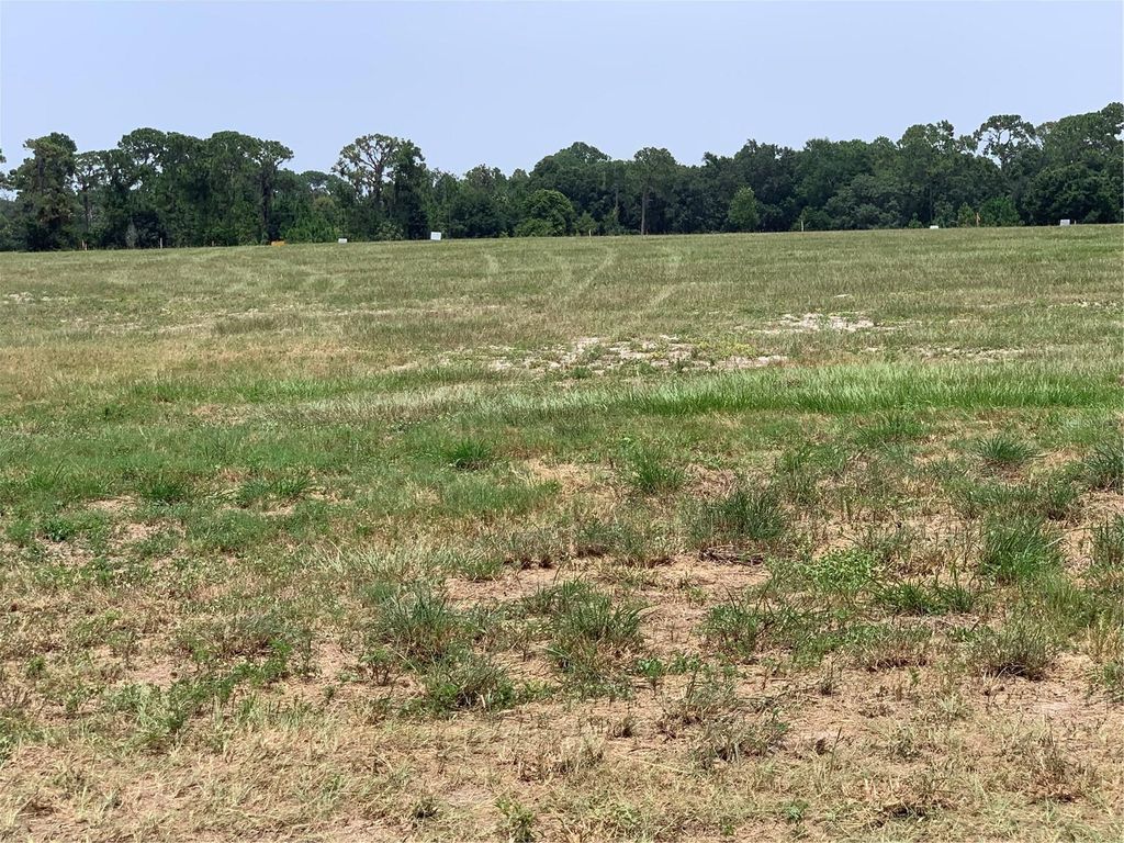 Photo of 3448 Lake Diane Road, Tavares, FL 32778 (MLS # O6287404)