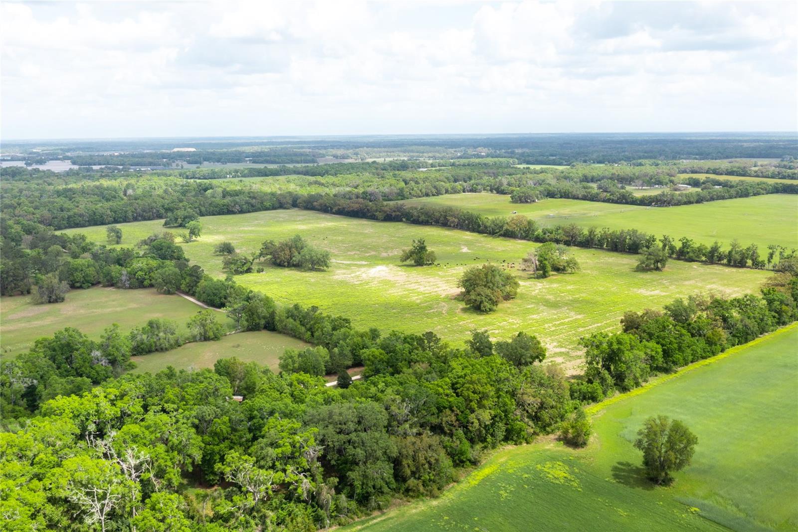 MAGNOLIA ACRES - Land