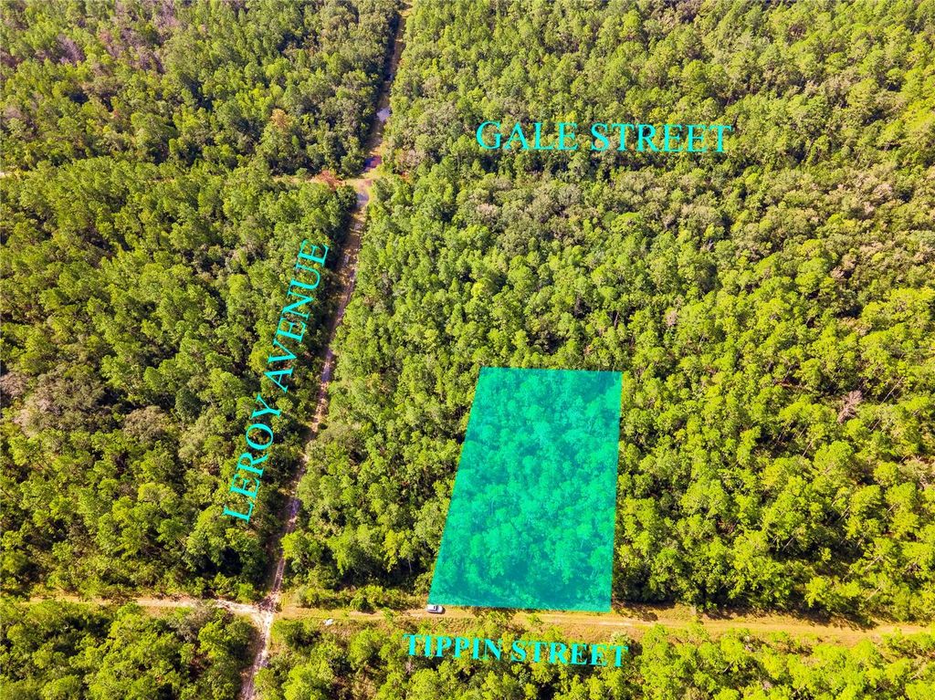 Photo of 0 Tippin Street, Hastings, FL 32145 (MLS # R4910100)