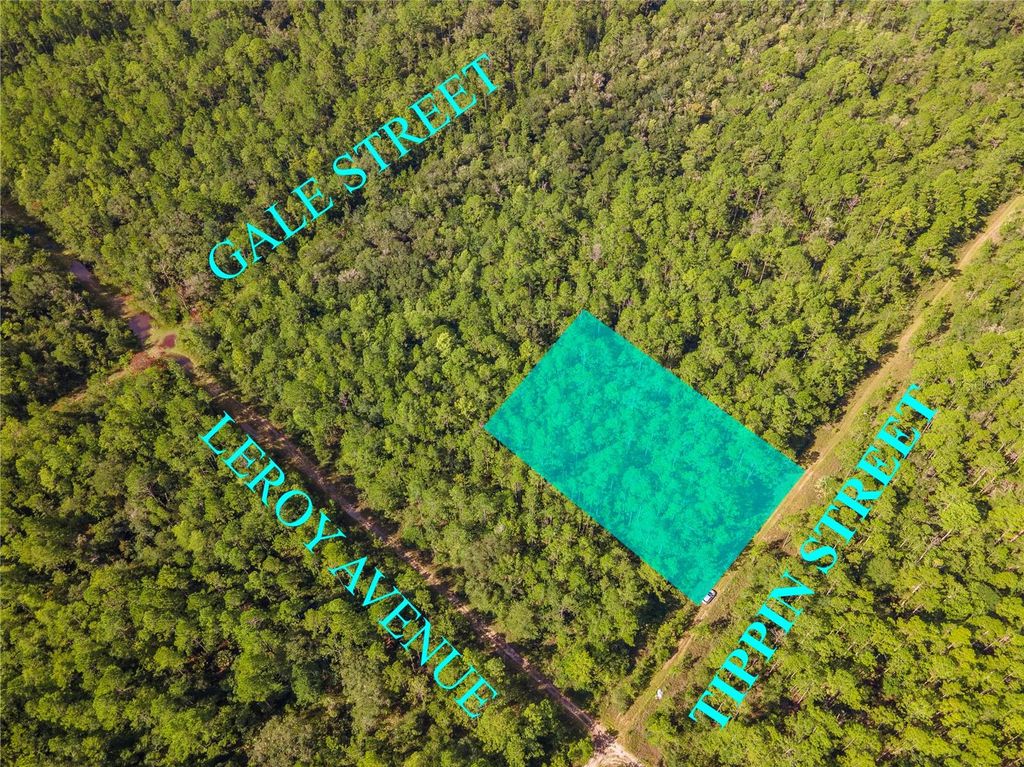 Photo of 0 Tippin Street, Hastings, FL 32145 (MLS # R4910100)