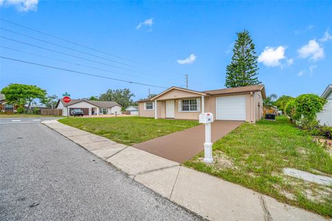 A home in PORT RICHEY