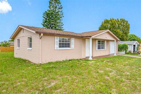 A home in PORT RICHEY