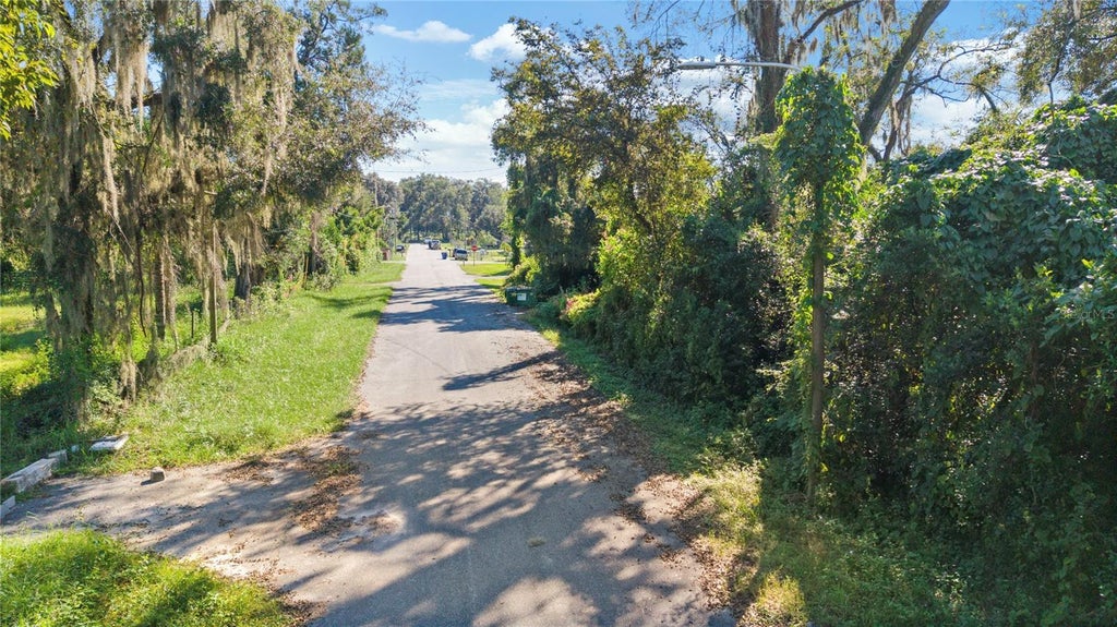 Photo of 39212 Jarvis Street, Dade City, FL 33523 (MLS # TB8558607)