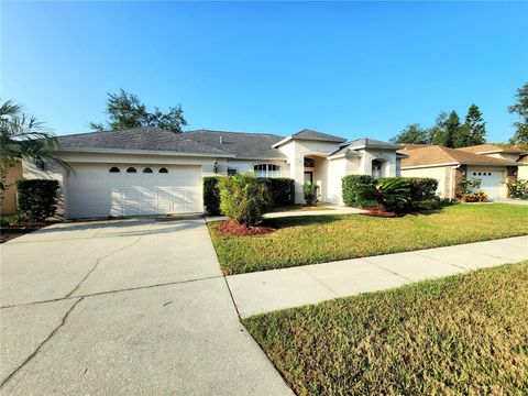 A home in VALRICO