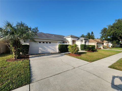 A home in VALRICO