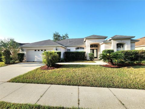 A home in VALRICO