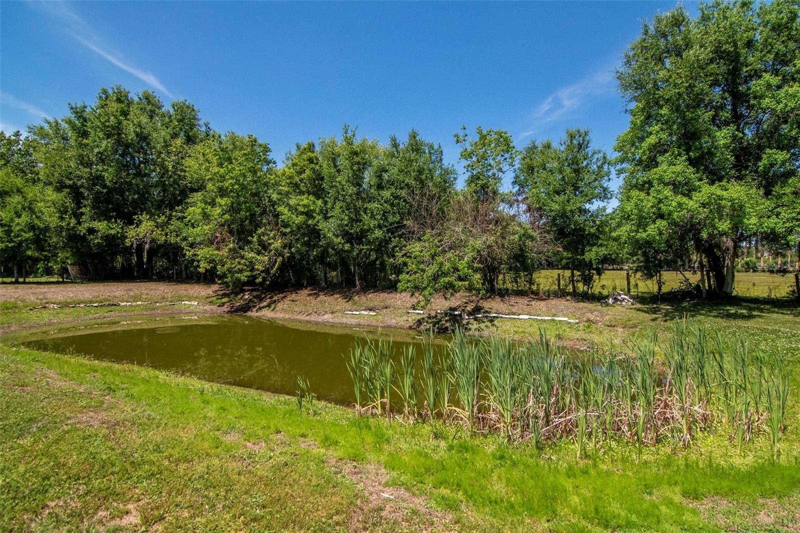 UNPLATTED - Residential