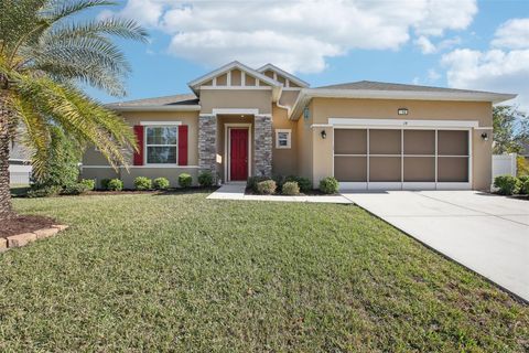 A home in HOMOSASSA