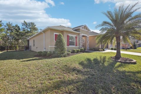 A home in HOMOSASSA