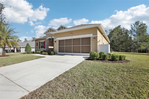 A home in HOMOSASSA