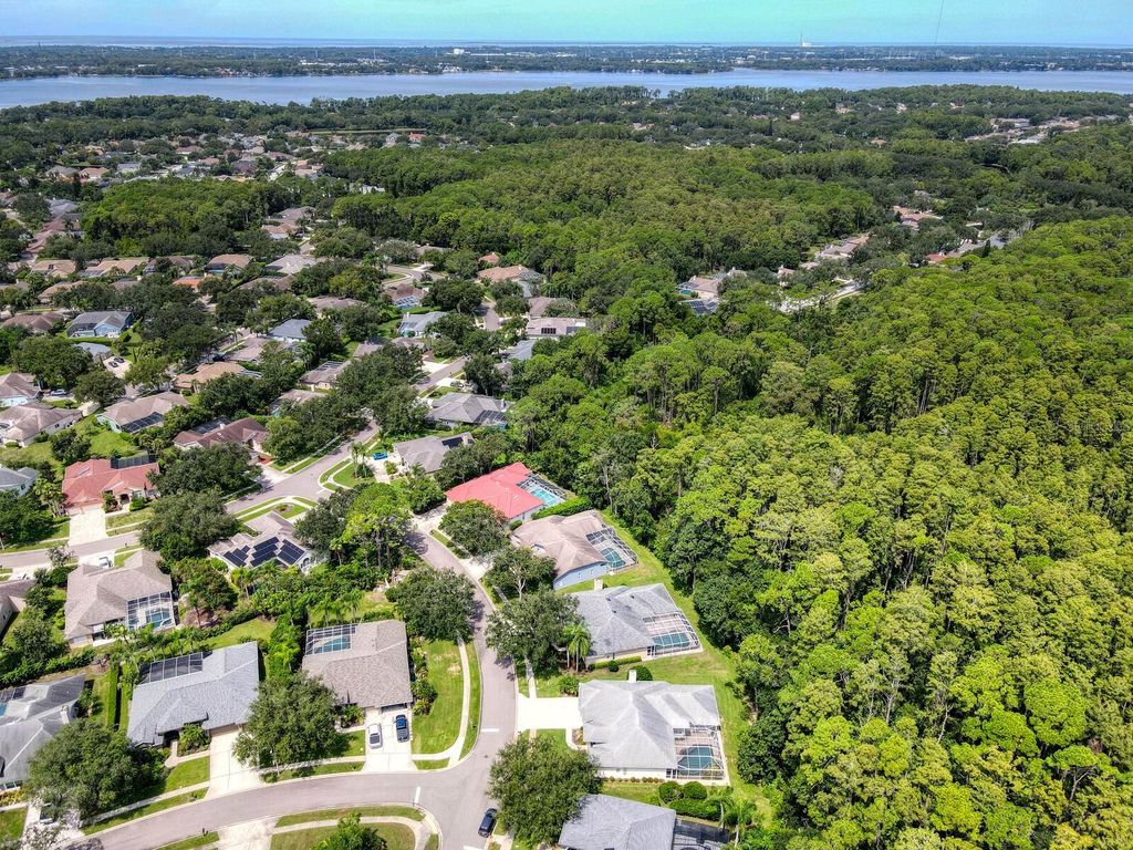 Photo of 4125 Kirkaldy Drive, Palm Harbor, FL 34685 (MLS # TB8424219)