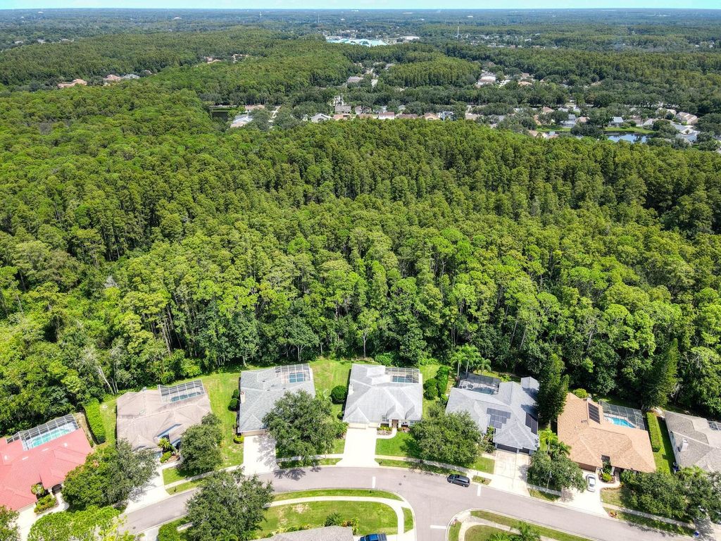 Photo of 4125 Kirkaldy Drive, Palm Harbor, FL 34685 (MLS # TB8424219)