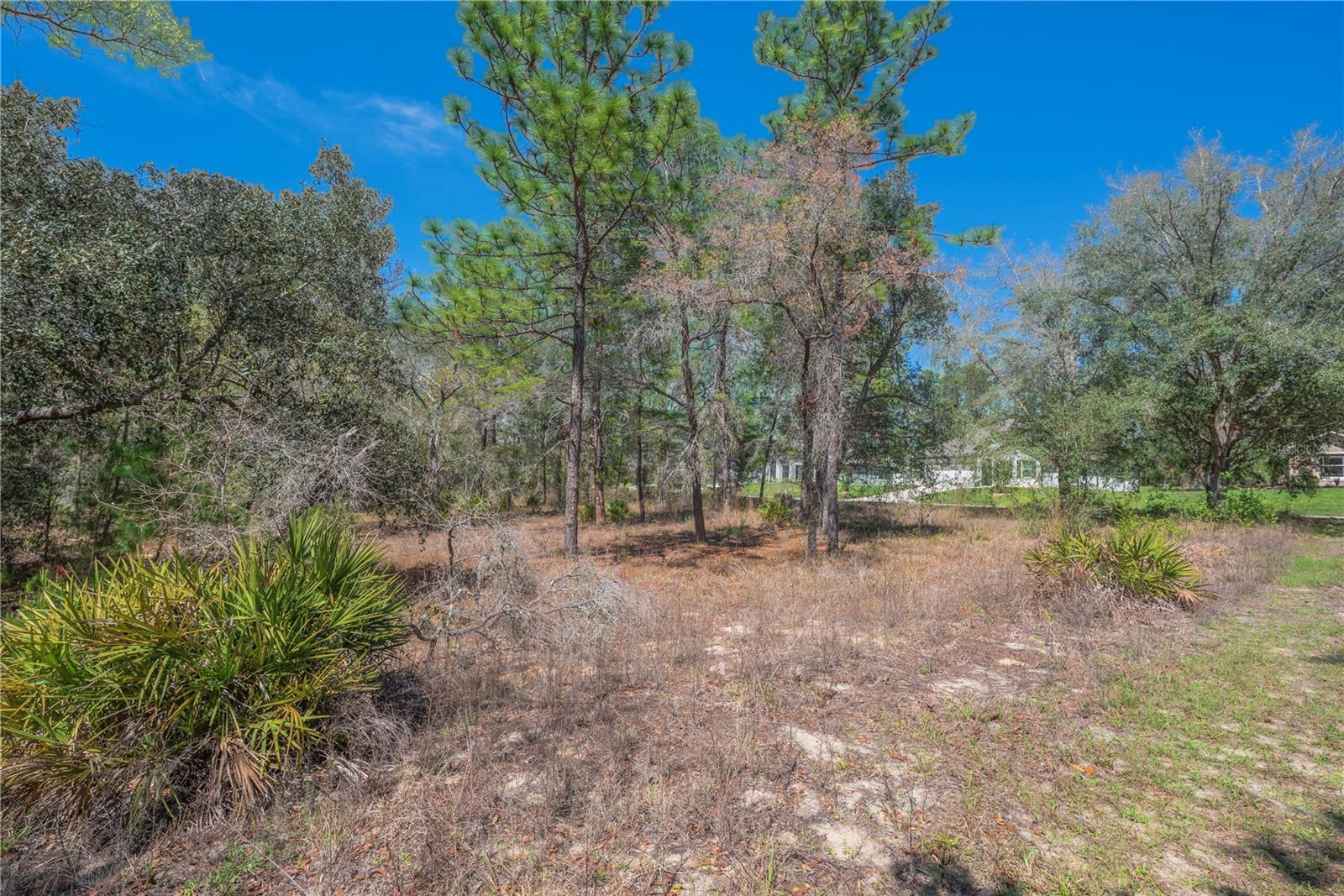 SUGARMILL WOODS OAK VILLAGE - Land