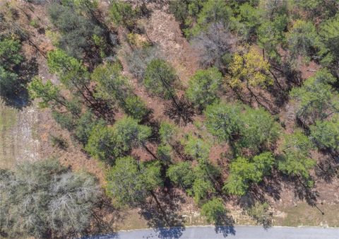 10 HEUCHERA COURT E HOMOSASSA FL 34446