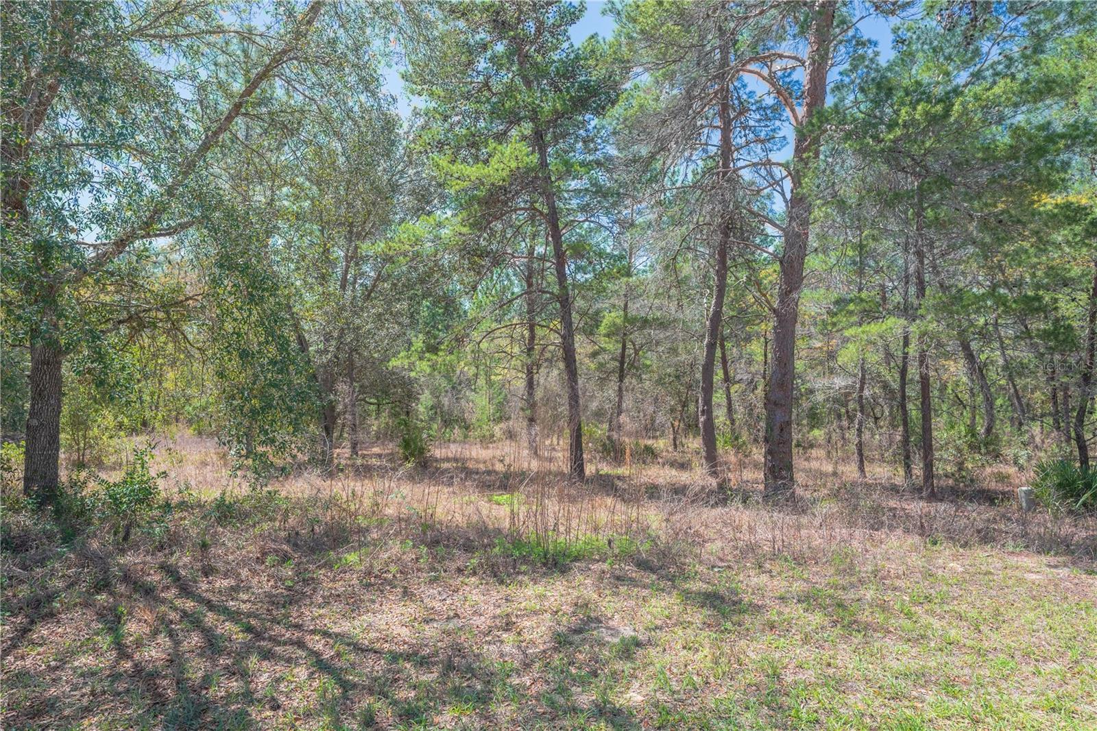 SUGARMILL WOODS OAK VILLAGE - Land