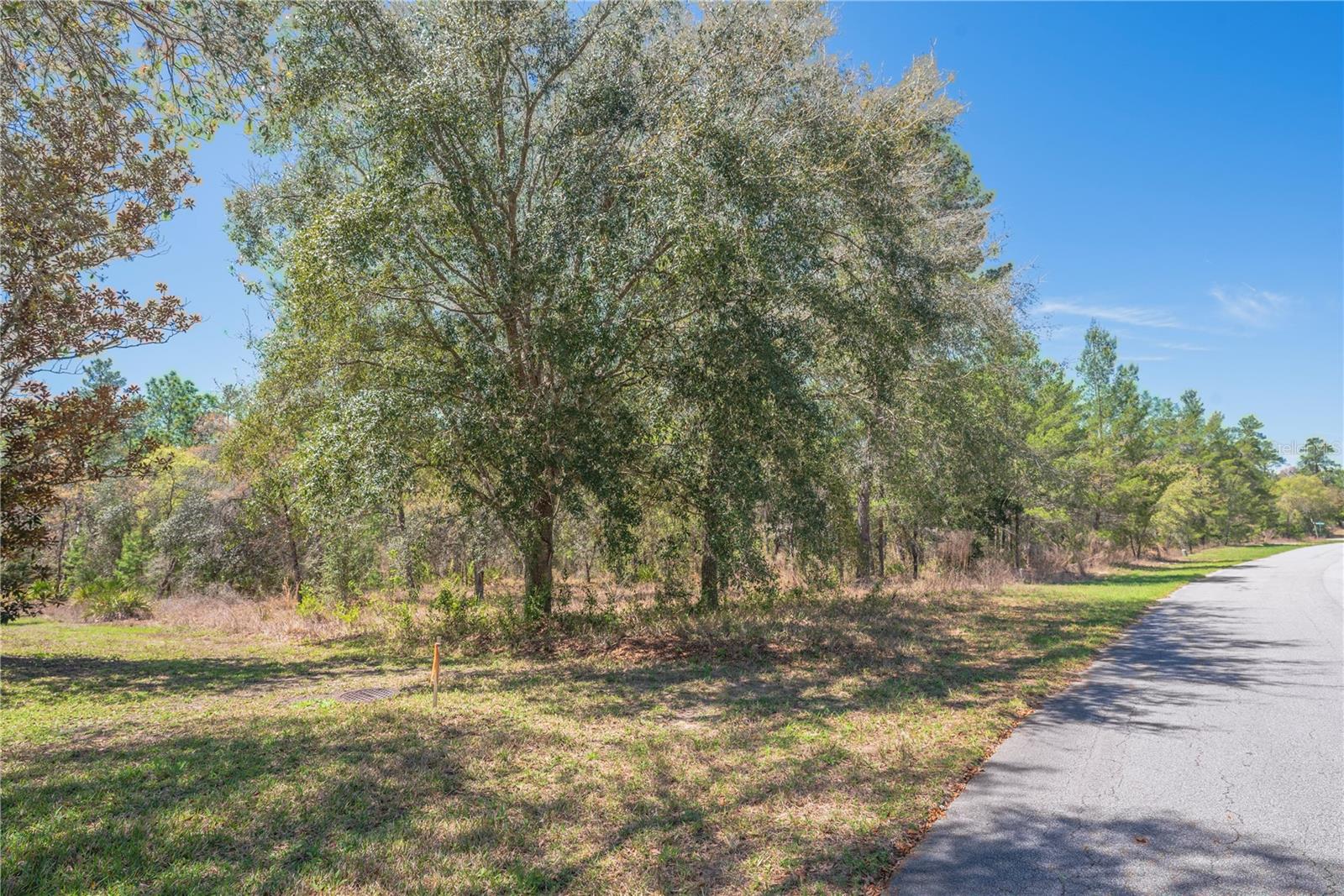 SUGARMILL WOODS OAK VILLAGE - Land