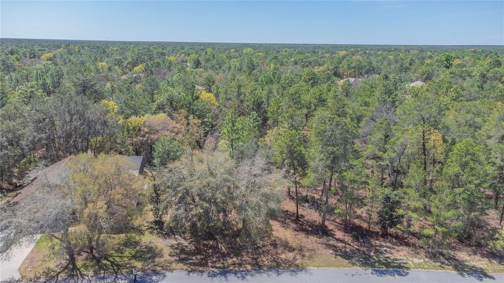 Photo of 10 Heuchera Court E, Homosassa, FL 34446 (MLS # TB8482525)