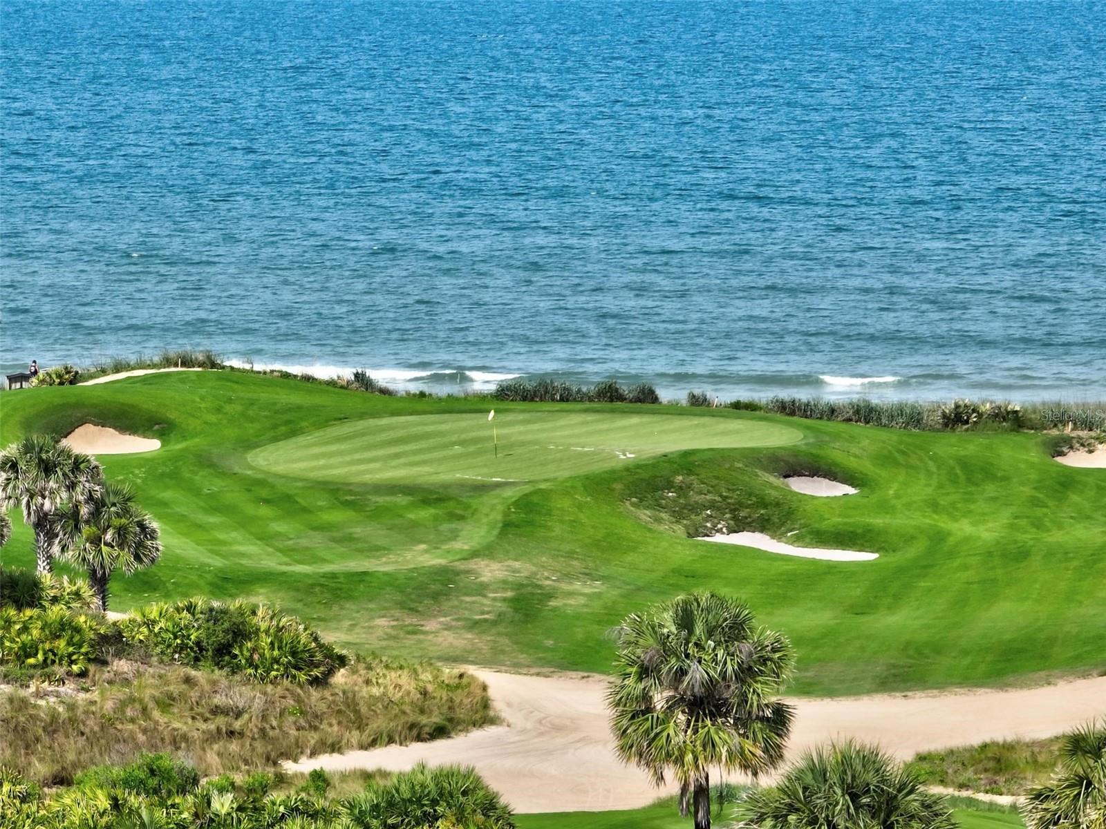 OCEAN HAMMOCK - Residential