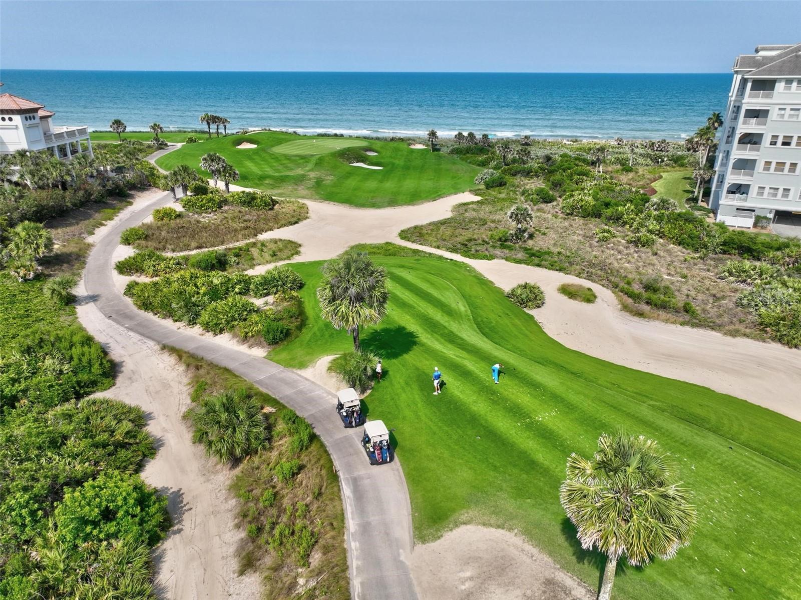 OCEAN HAMMOCK - Residential