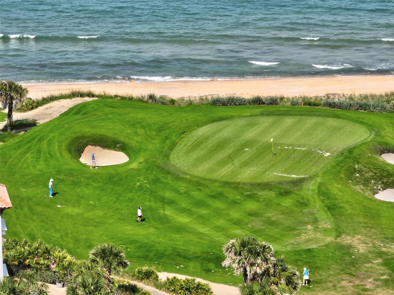 OCEAN HAMMOCK - Residential