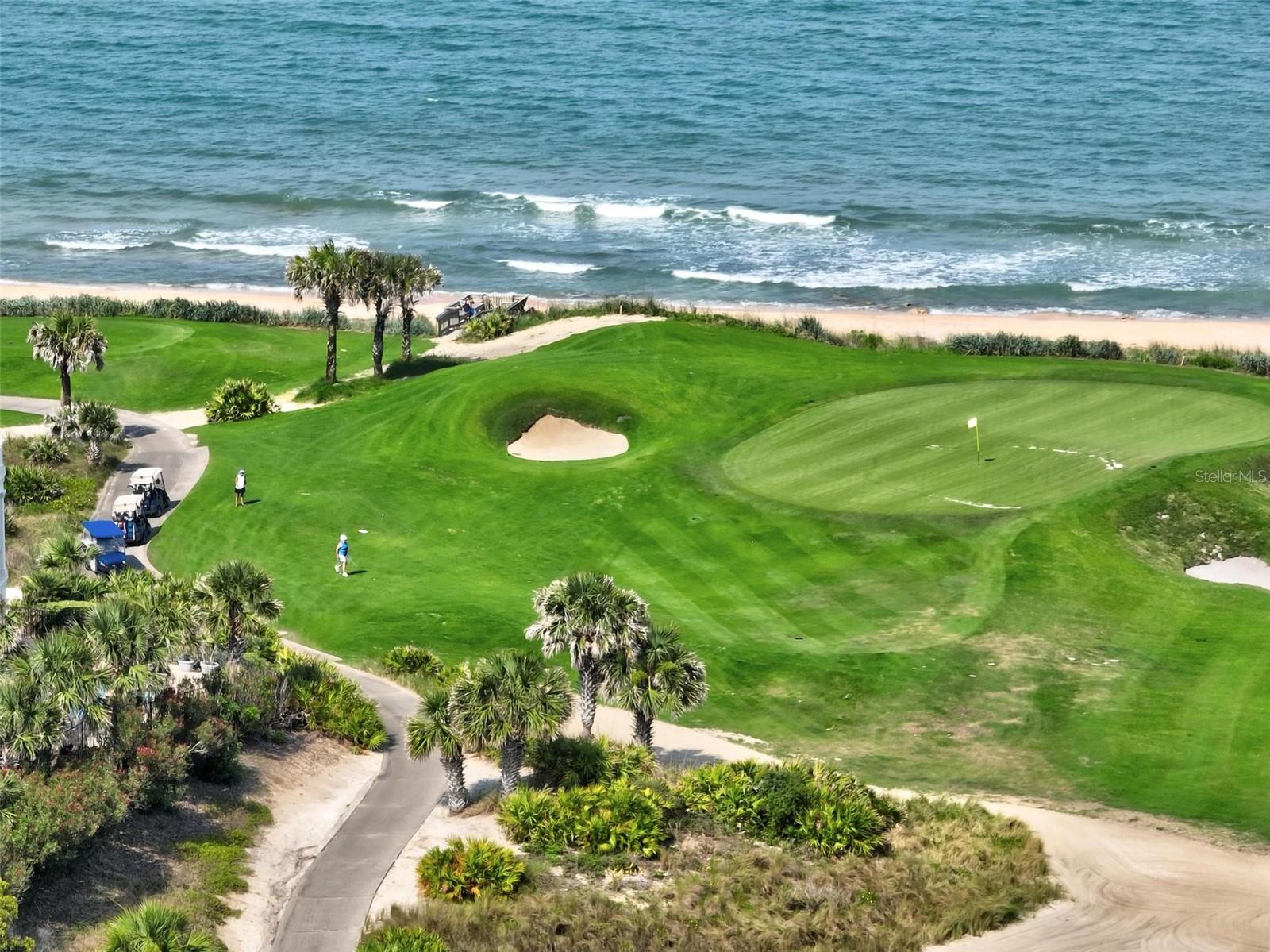 OCEAN HAMMOCK - Residential
