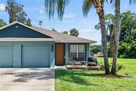 A home in MOUNT DORA