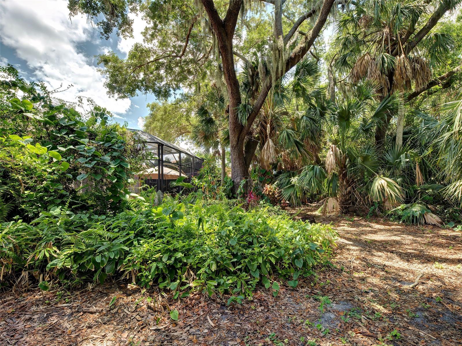 TURTLE ROCK - Residential