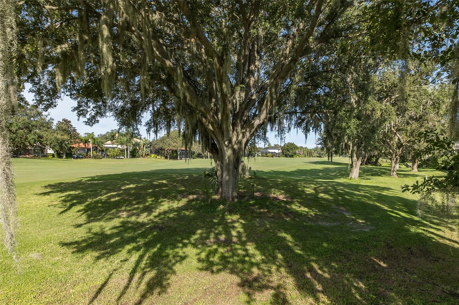 CHAMPIONS CLUB - Residential