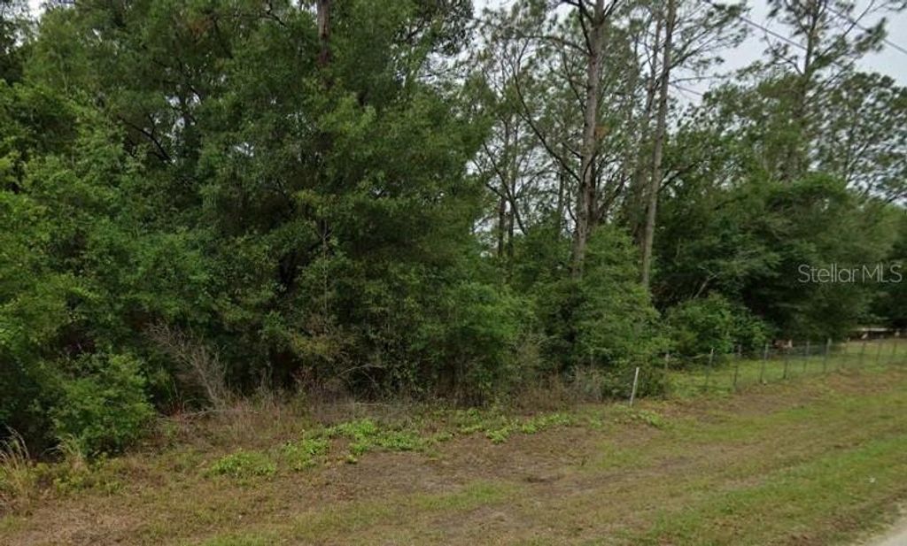 Photo of 9284 W Dunnellon Road, Crystal River, FL 34428 (MLS # TB8498781)