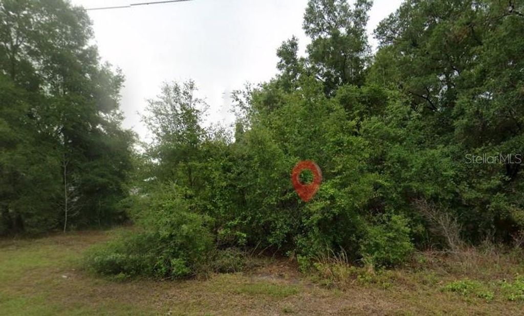 Photo of 9284 W Dunnellon Road, Crystal River, FL 34428 (MLS # TB8498781)