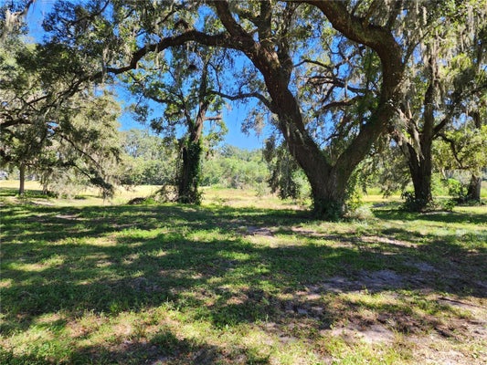 7670 NW 137TH AVE, MORRISTON, FL 32668 - Image d50f6a7d2f59287b35079ed509b73aea/92002152