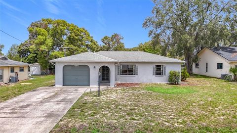 10139 CARRIN ROAD SPRING HILL FL 34608