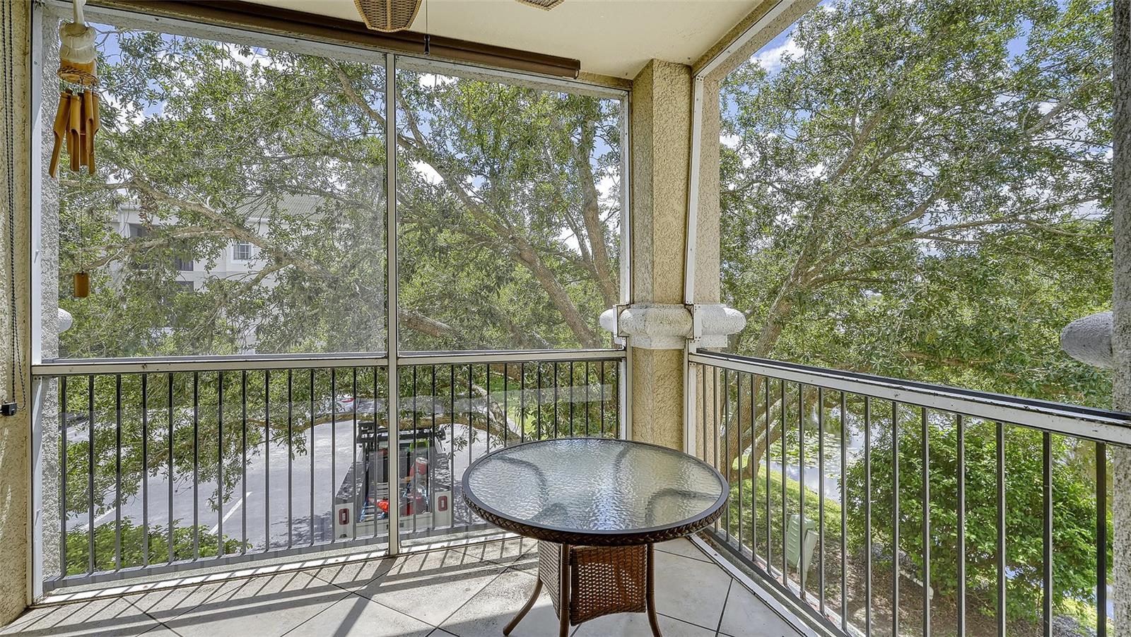 SERENADE ON PALMER RANCH - Residential