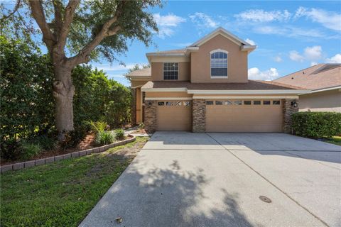 17809 SANDPINE TRACE WAY TAMPA FL 33647