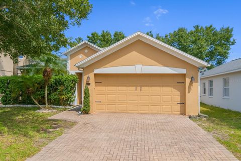 Photo of 9985 Shadow Creek Dr, Orlando, FL 32832 (MLS # O6379938)