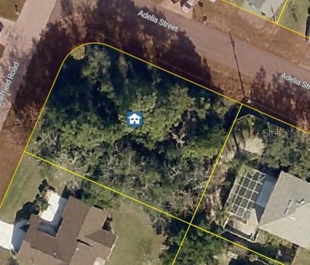 Photo of 11416 Adelia Street, Spring Hill, FL 34608 (MLS # C7527149)