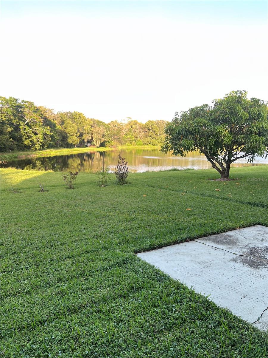 CELERY LAKES PH 1 - Residential