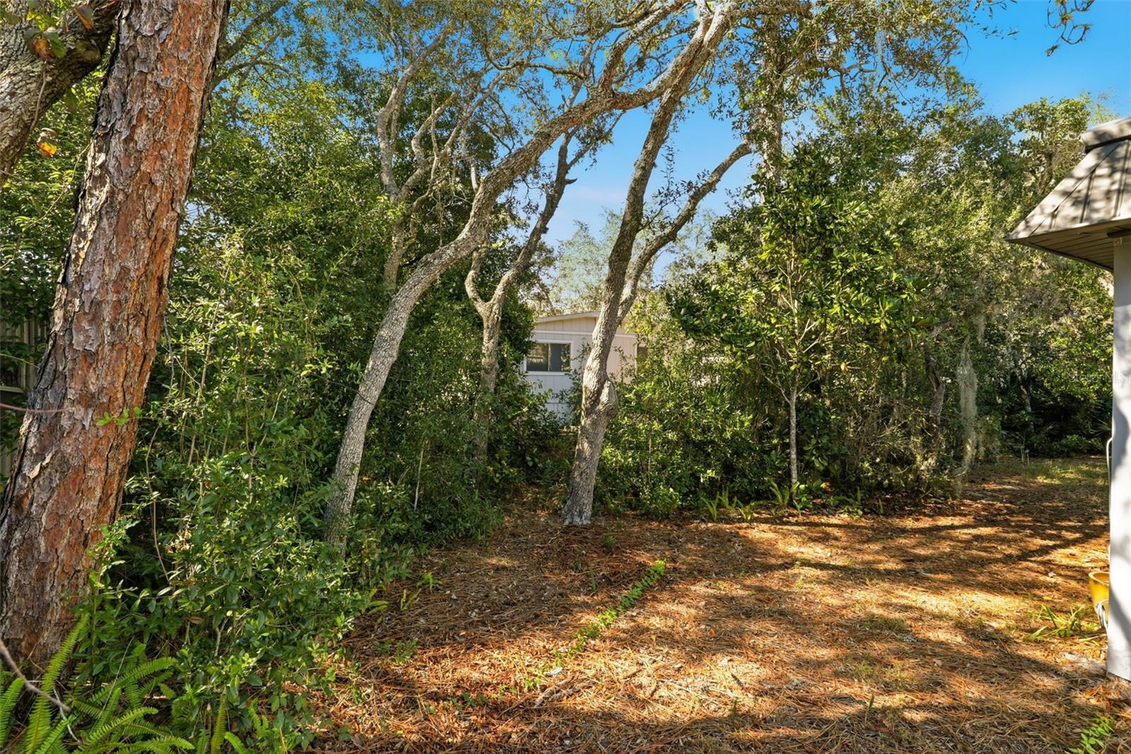 FOREST THE - Residential