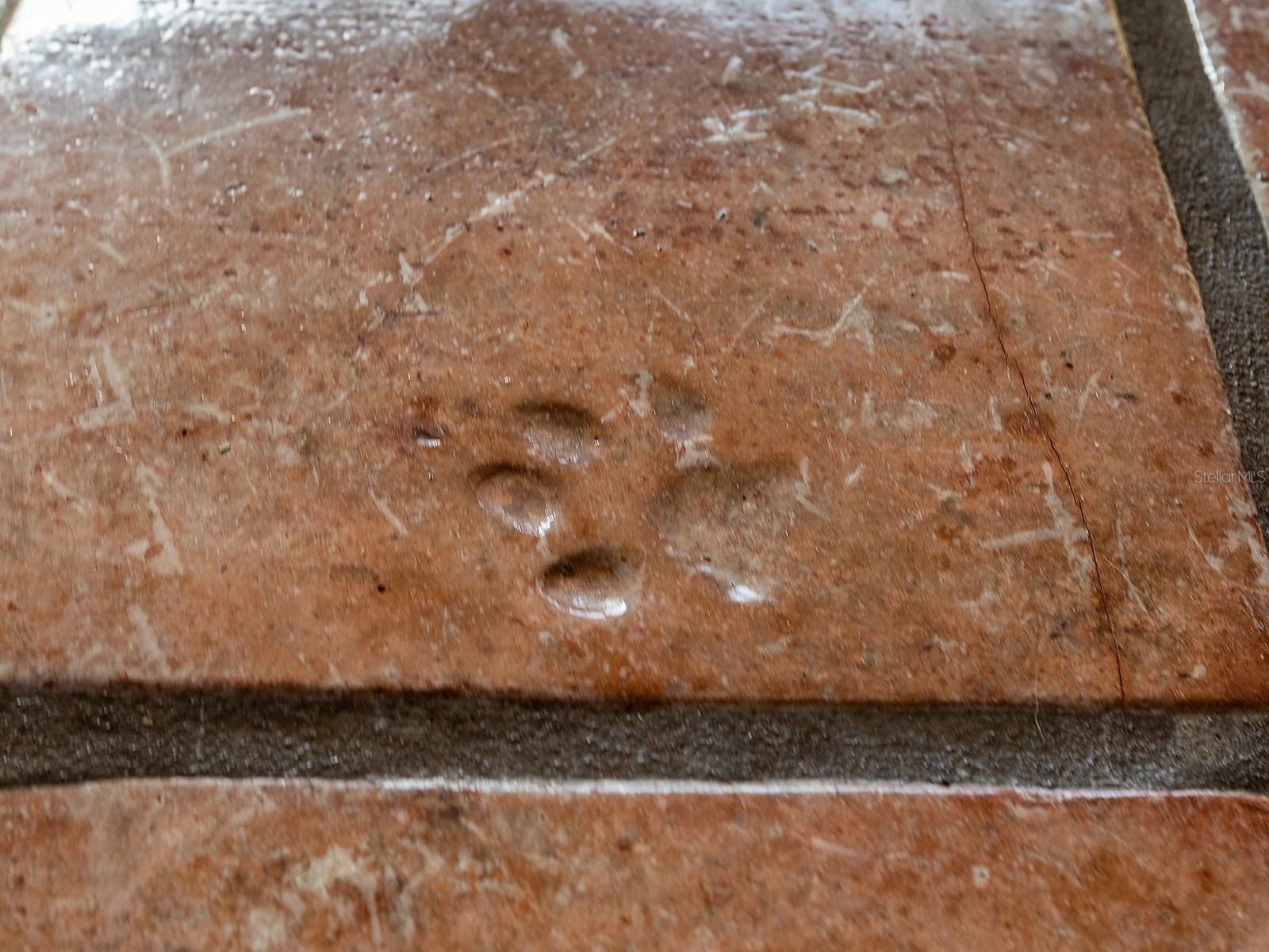 PORT CHARLOTTE SUB 35 - Residential