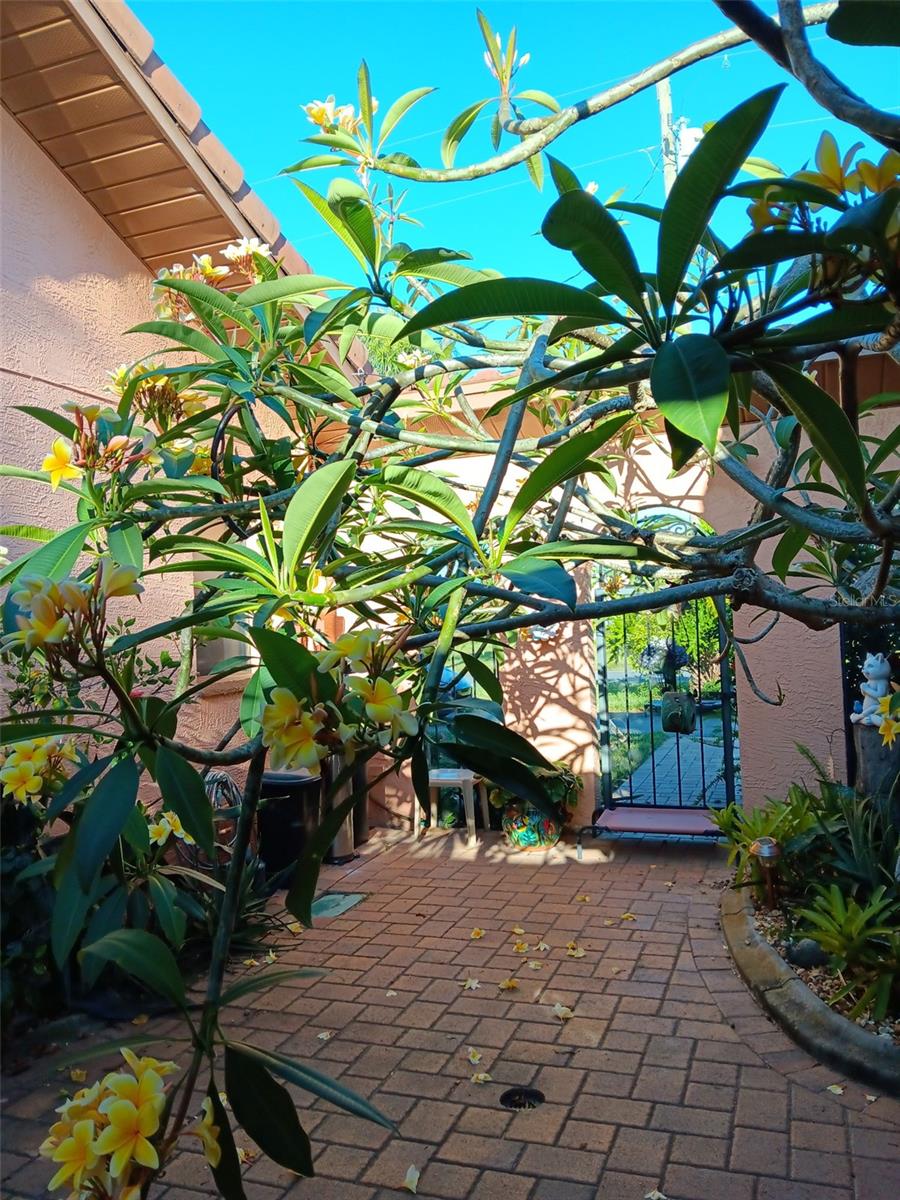 HERNANDO BEACH - Residential