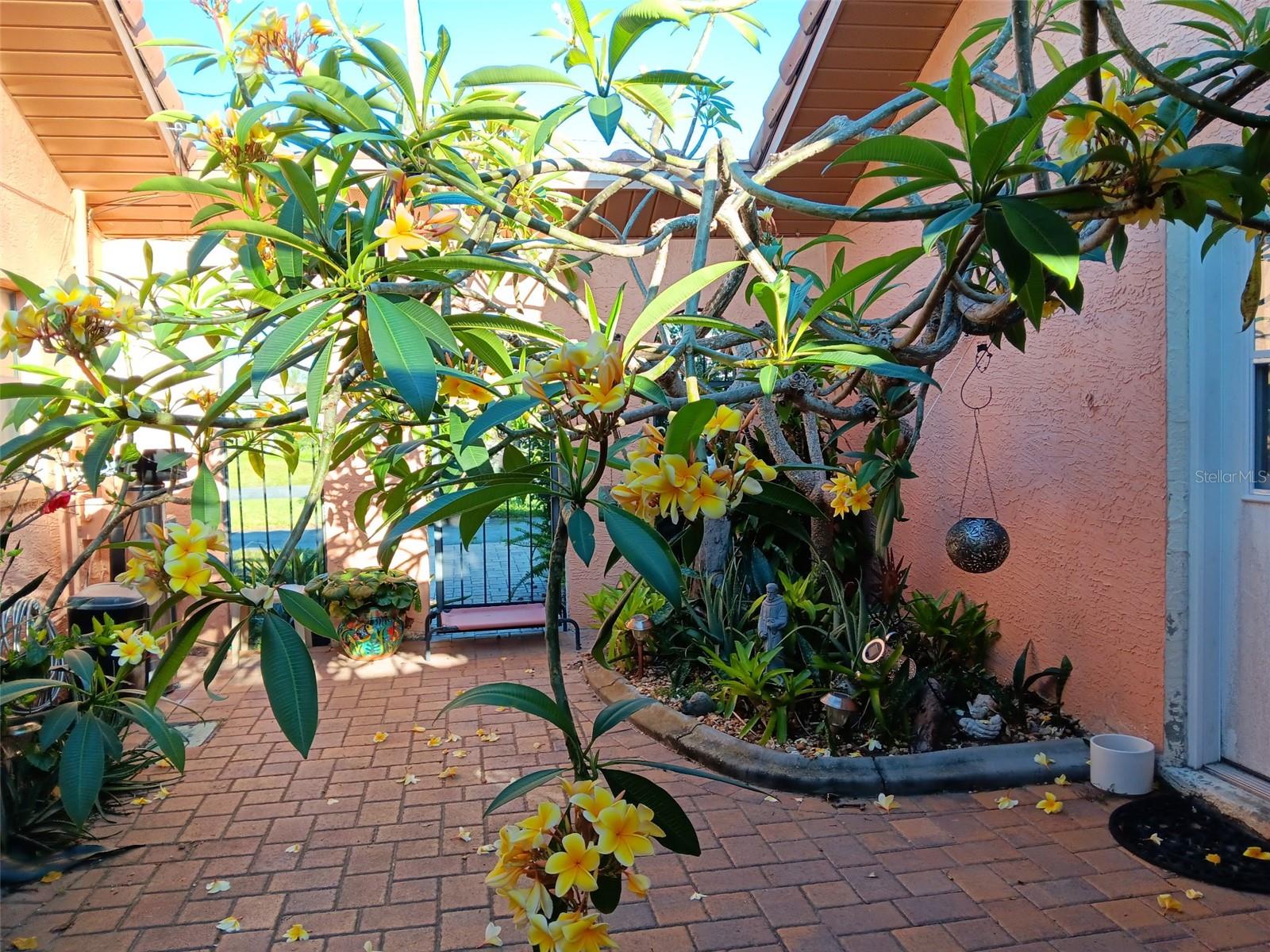 HERNANDO BEACH - Residential