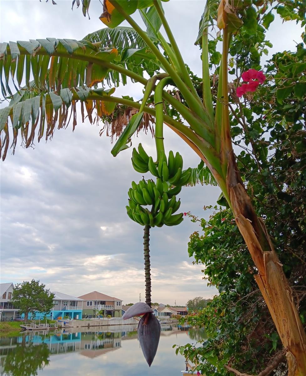 HERNANDO BEACH - Residential